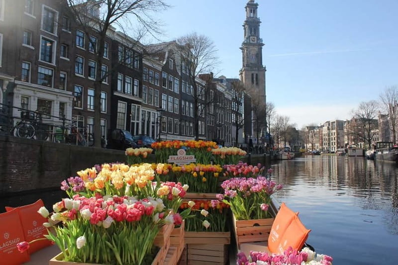 Amsterdam: Premium Tulip Boat Canal Tour - The Views of Amsterdams Iconic Sights
