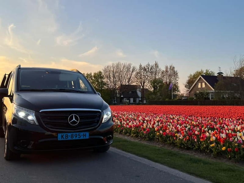 Amsterdam: Private Tour to Keukenhof & Free Tulip Experience - An In-Depth Look at the Tour Experience