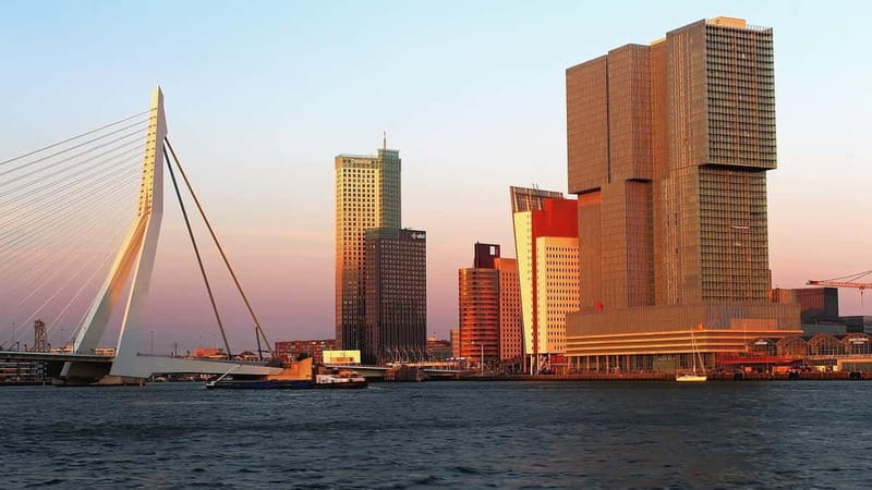 Amsterdam: Rotterdam Day Trip with Local - Rotterdam’s Top Sights and Hidden Gems