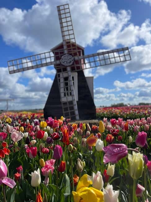 Amsterdam: Villages, Cheese, Windmills,Clogs &county site - Cheese Tasting & Traditional Dutch Crafts
