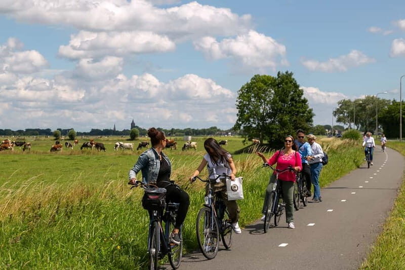 Amsterdam: Windmill, Cheese, and Countryside E-Bike Tour - Final Thoughts: Who Will Love This Tour?