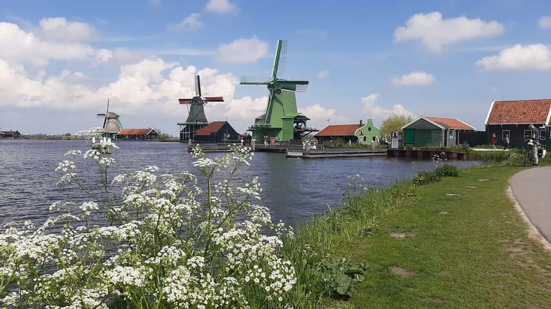 Amsterdam: Zaanse Schans Windmills Guided Tour - The Sum Up