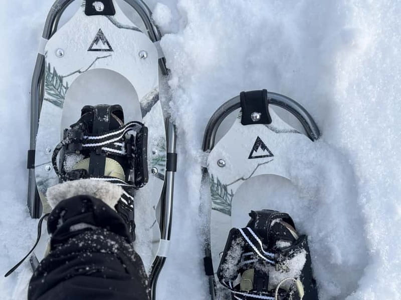 Arctic Gateway: Snowshoeing Expedition in Lapland - Detailed Breakdown of the Itinerary