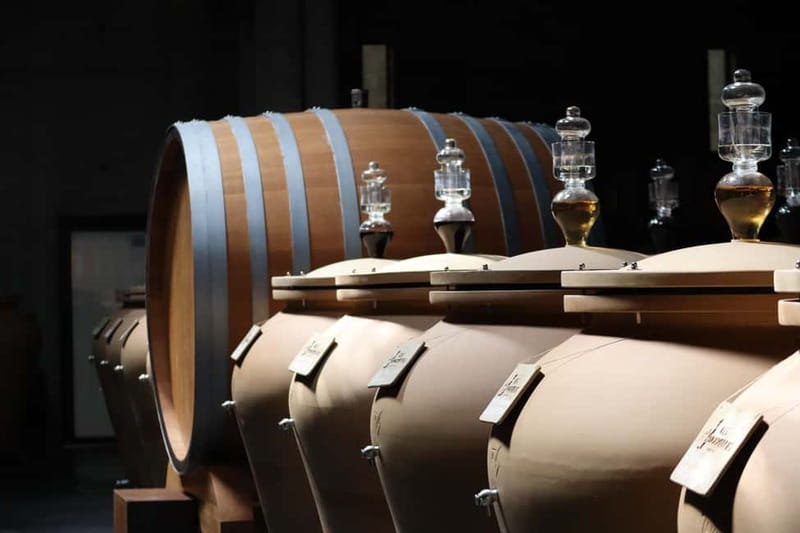 Ardèche: Tour and tasting of wines aged in amphorae and barrels - Why This Tour Is a Great Choice