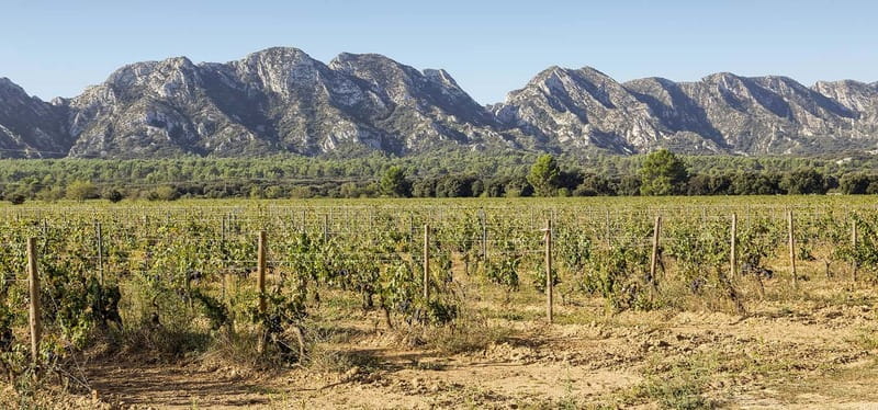 Arles, Saint-Rémy & Les Baux De Provence -7 hours - Practical Details and Value