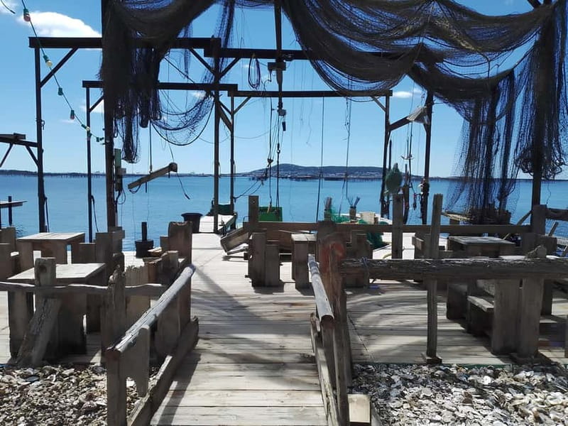 Around the Thau lagoon - tours and tastings - The Practicalities: What to Expect