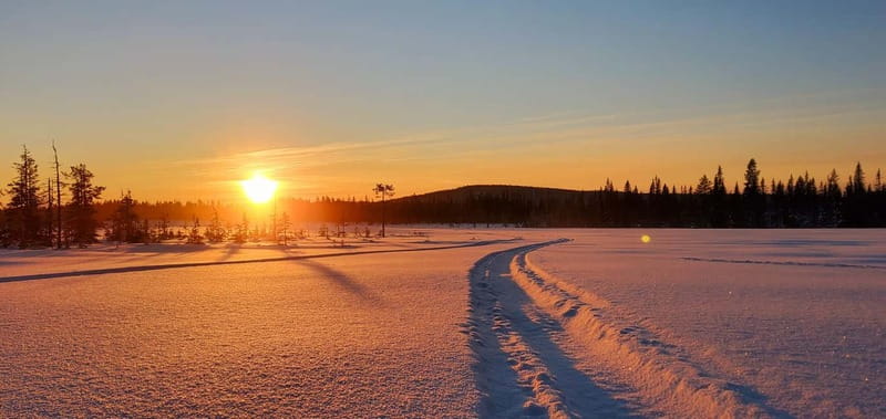 Arvidsjaur: 4h individual snowmobile tour in Swedish Lapland - What You Can Expect from the Tour