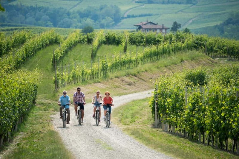 Asti Island: E-Bike & Wine Tasting Experience - The Itinerary: What You Can Expect