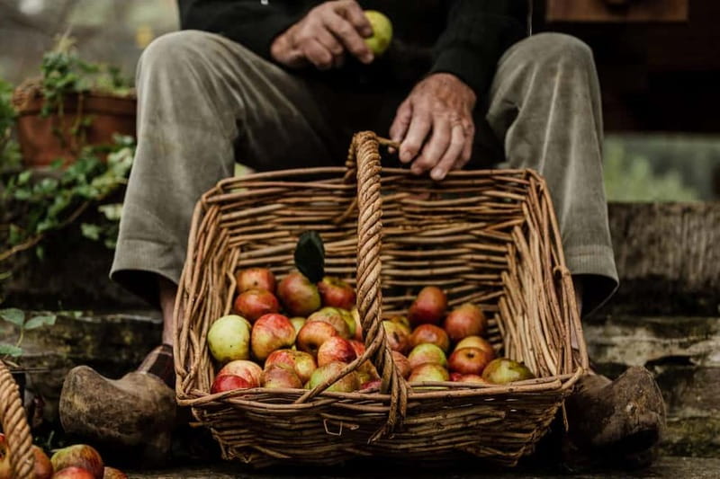 Asturias: Cider, Local lunch, Villaviciosa, Tazones, Laboral - Practical Details and What To Expect