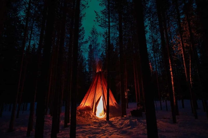 Aurora Hunting with Reindeer - What You Can Expect from the Tour