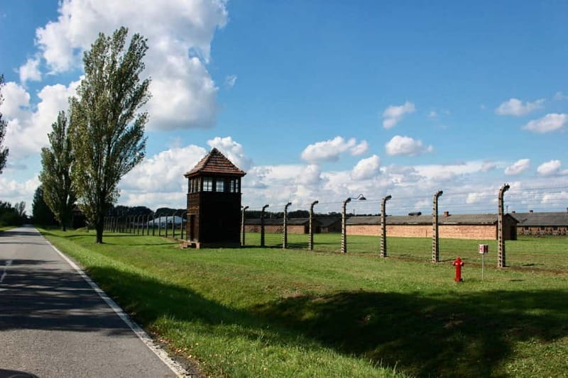 Auschwitz-Birkenau: Guided Tour - Ticket + Transportation - A Deep Dive into the Auschwitz-Birkenau Tour Experience