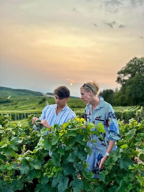 Authentic Champagne Tour: 3 vineyards, 10 Tastings & Lunch - Details and Practicalities