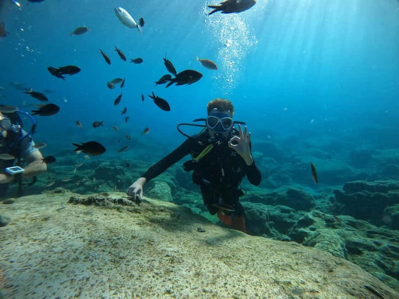 Ayia Napa: Beginners Discover Scuba Diving Experience - What Makes It Stand Out