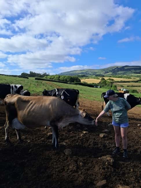 Azores: Half-Day Dairy Farm Tour - The Value of the Experience