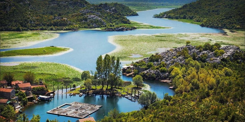 Azure Horizons: Skadar Lake Serenity & Bar's Timeless Tales - The Skadar Lake Experience