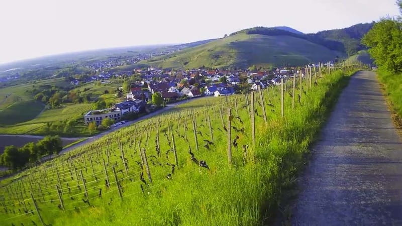 Baden-Baden: Private e-Mountainbike Tour with local Guide - The Itinerary: A Closer Look  