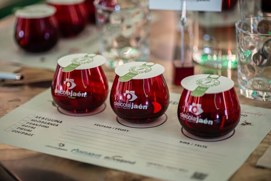 Baeza: Olive Oil Mill & Tasting at AOVEland - A Deep Dive into the Tour Experience
