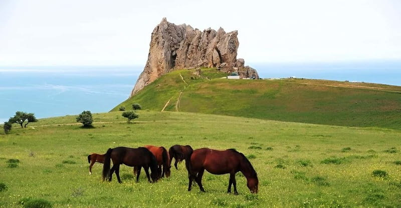 Baku:Guba,Shahdag and Candy Cane Mountain Lunch included - What Makes This Tour Stand Out?