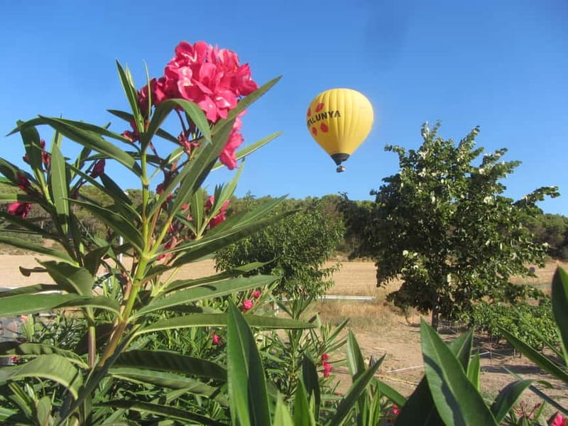 Balloon flight: panoramic view of Montserrat and Transport from Barcelona - The Itinerary Breakdown