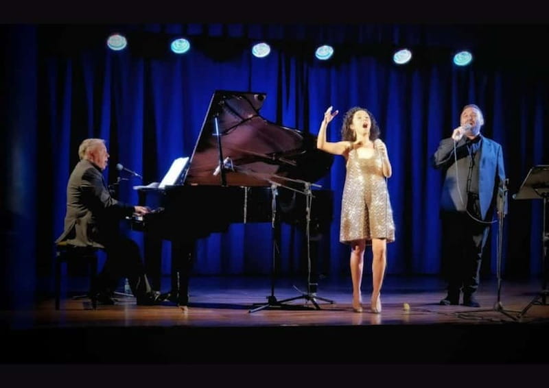 Barcelona: Christmas Broadway Christmas Concert at the Museu Núria Pla - Who Is This Tour Best For?