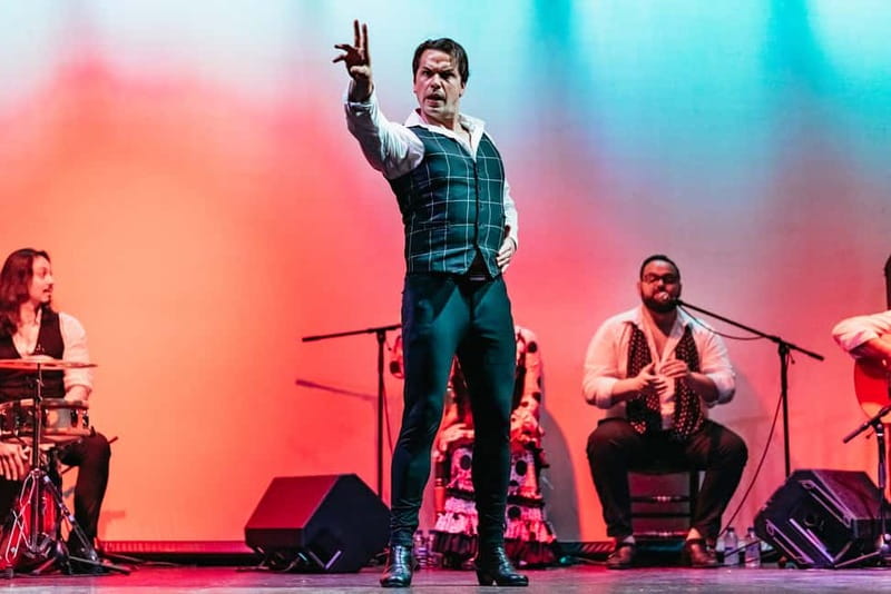 Barcelona: Flamenco Show at the Theater - Who Will Appreciate This Flamenco Show?
