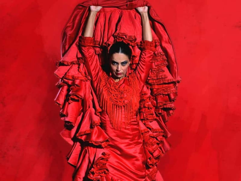 Barcelona: "Inspiration" Live Flamenco Show - The Practicalities: Timing, Accessibility, and Cost