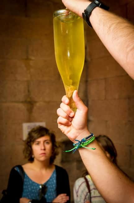 Barcelona: Penedès Wine and Cava Tour with Workshop - Who Should Take This Tour?