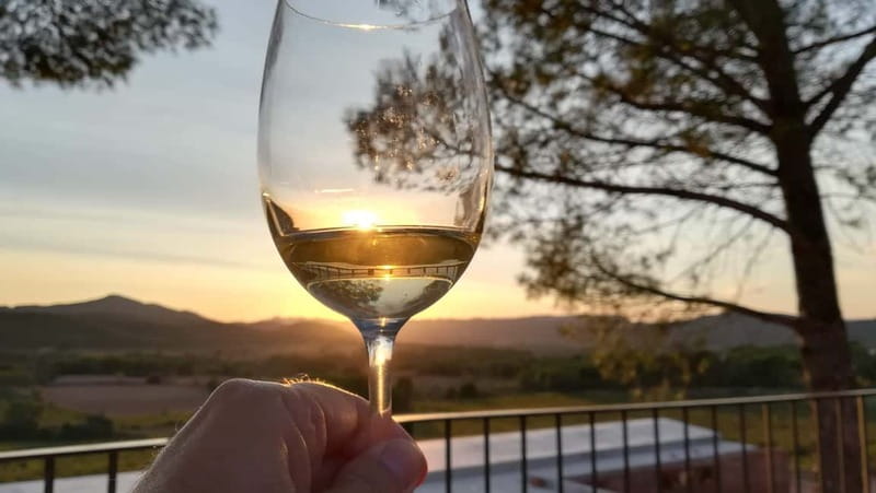 Barcelona: Penedes Wine Tasting Tour with Lunch - What Sets This Tour Apart?