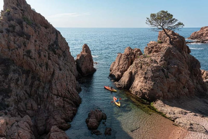 Barcelona: Tossa de Mar Day Tour - What Makes Tossa de Mar Special?