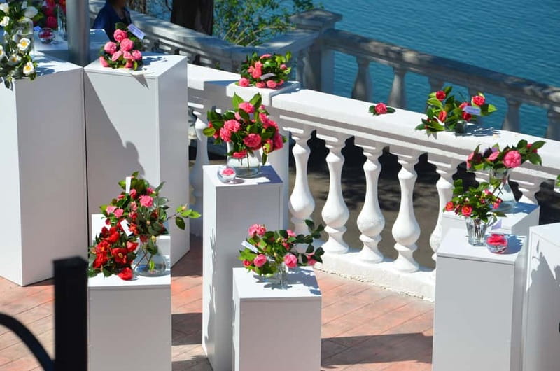 Batumi: Botanical Garden, Petra Fortress and Miniatures Park - Petra Fortress: Stepping Back in Time with a View