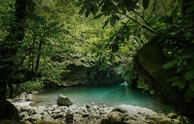 Batumi to Mtirala National park - Half day hiking group tour - The Itinerary in Detail