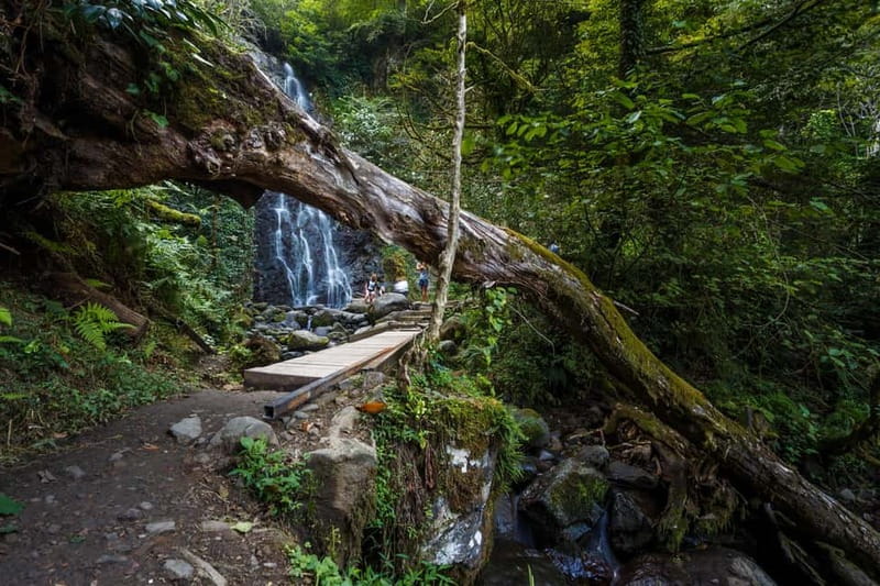 Batumi, Waterfalls & Folklore - group tour from Kutaisi - Who Will Love This Tour?