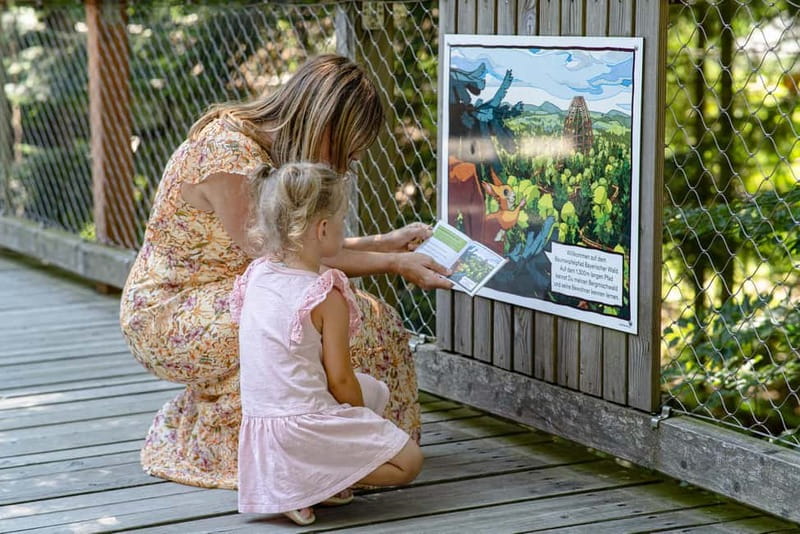 Bavarian Forest: Treetop Walk & Egg Tower Experience - The Egg Tower: A 44-Meter-High Architectural Marvel