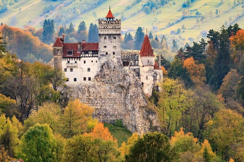 Bear Sanctuary, Dracula's Castle and Brasov | Private Tour - A Full Breakdown of the Experience