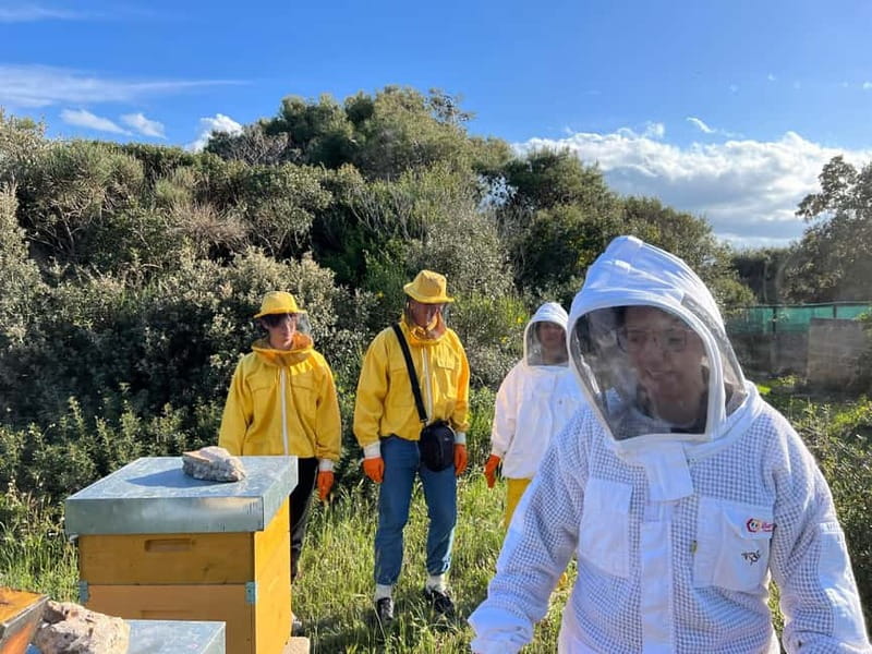 Beekeeper for a Day in the Torre Guaceto Reserve - The Practicalities: What You Need to Know