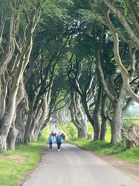Belfast city & Giants causeway private tour - The Value of a Private, Fully Customized Tour