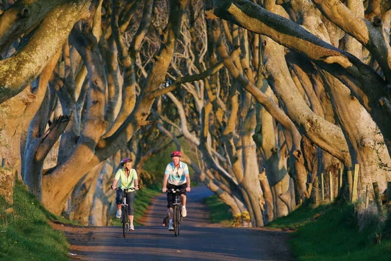 Belfast: Giant's Causeway Tour with Titanic Experience Entry - Key Points