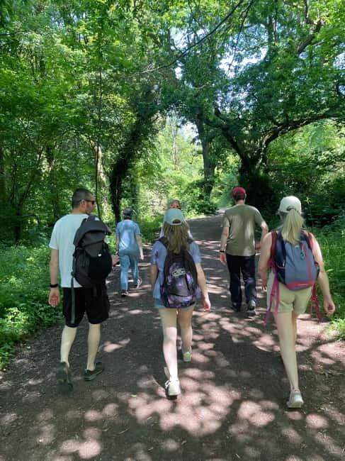 Belfast: Sir Thomas & Lady Dixon Park Walk & Alfresco Picnic - FAQs