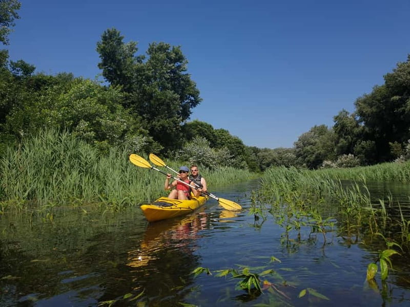Belgrade: Great War Island Kayak Adventure - What to Expect on the Tour
