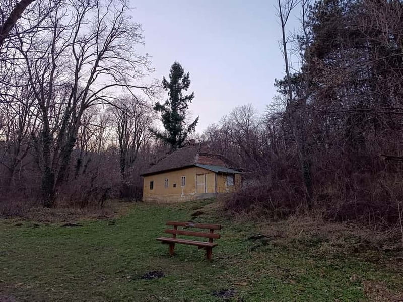 Belgrade: Kosutnjak forest hiking tour - What to Expect and What Not
