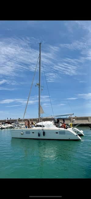Benalmádena 2-hour Group Tour with Dolphin Watching - Detailed Breakdown of the Itinerary