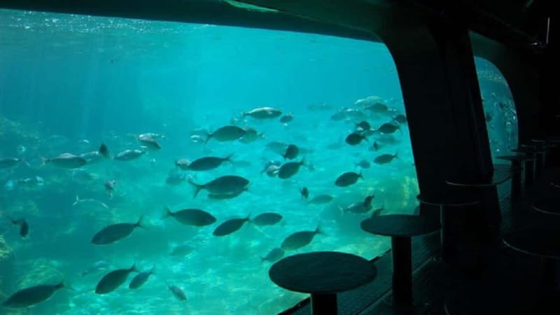Benidorm: Peacock Island Boat Trip with Submarine included. - The Boat: Glass Bottom Views & Marine Life
