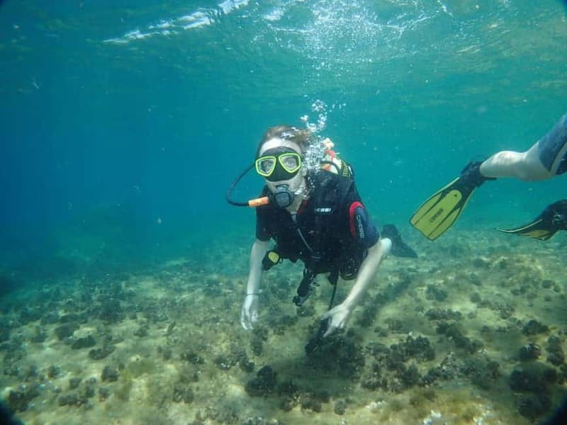 Benidorm: Scuba Diving Experience - The Itinerary Breakdown