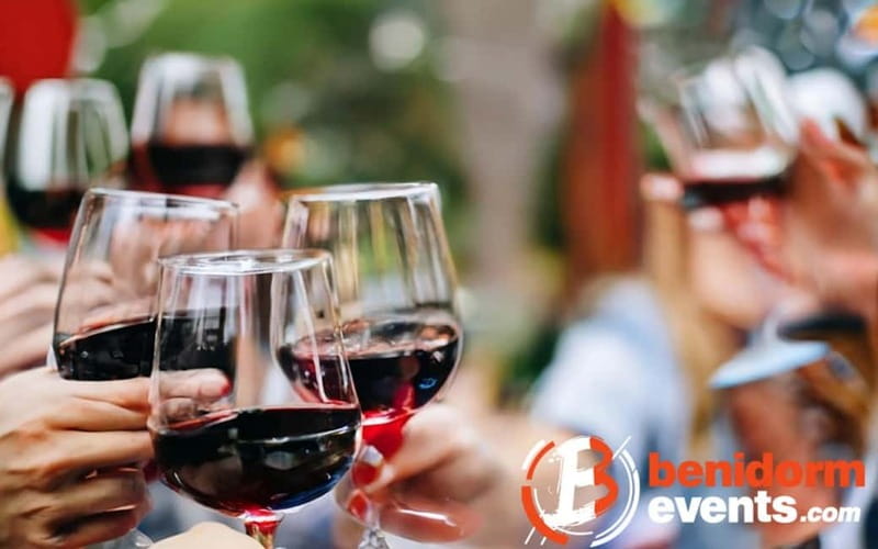 Benidorm: Winery Tour with Wine and Tapas Tasting - Final Thoughts: Who Will Get the Most Out of This Tour?