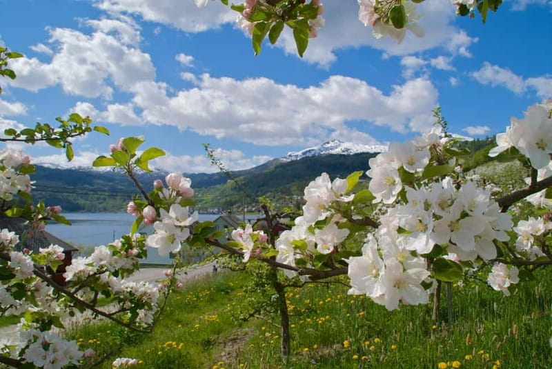Bergen: Bondhus Glacier Lake in Folgefonna National Park - Who Will Love This Tour?