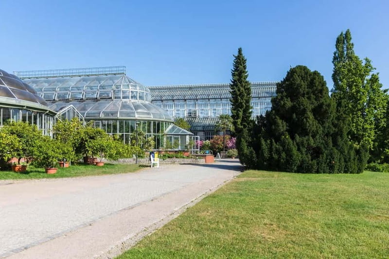 Berlin: Botanic Garden Berlin Entry Ticket with Audio Guide - The Experience Overview: What to Expect