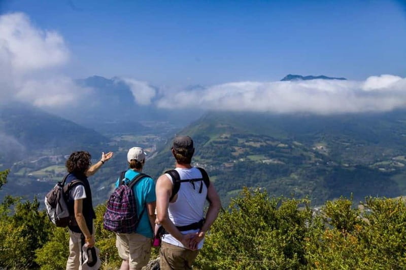 Biarritz: Visit to the Sanctuary of Lourdes in small group - What Makes This Tour Stand Out?