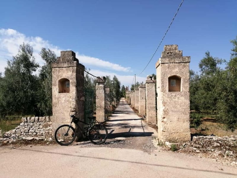 Bike tour in Trani + visit to olive grove and evo oil tasting - How the Itinerary Brings the Experience to Life