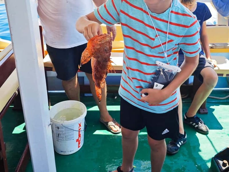 Biograd: Authentic Fishing Tour in Croatia. Kids Love This! - Who Should Book This Tour?