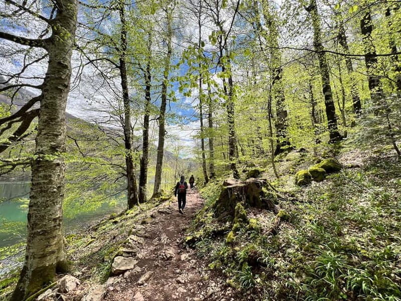 Biogradska Gora National Park - monastery & Moraca Canyon - Practical Details & Value  